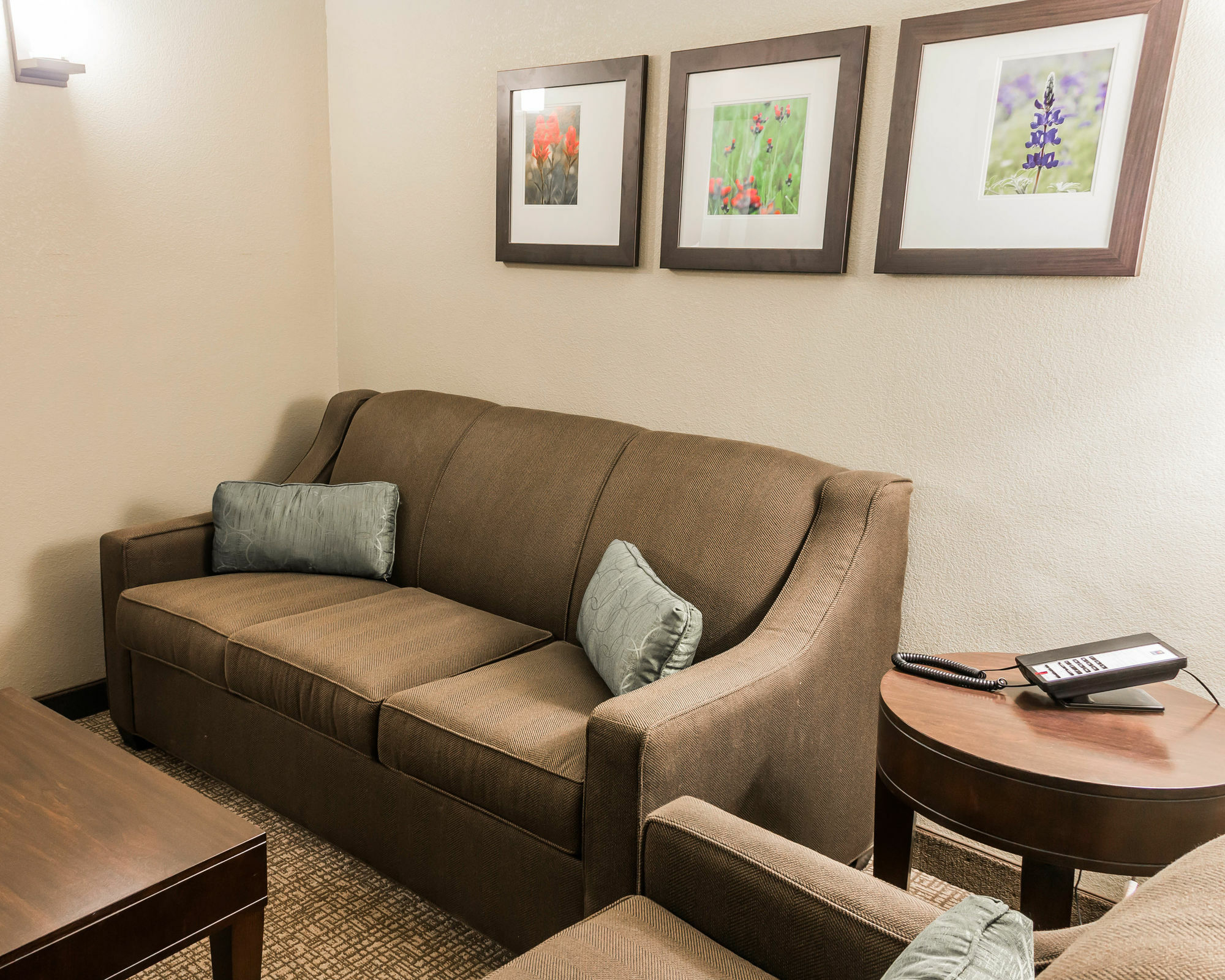 Comfort Inn&Suites Pharr/McAllen Extérieur photo